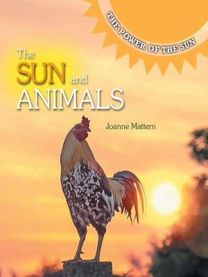 cover image of The Sun and Animals